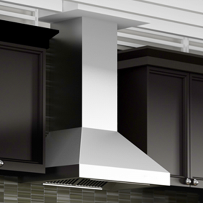 ZLINE 30 in Wall Mount Range Hood Stainless Steel Remote Dual Blower Ventilation 597-RD-30