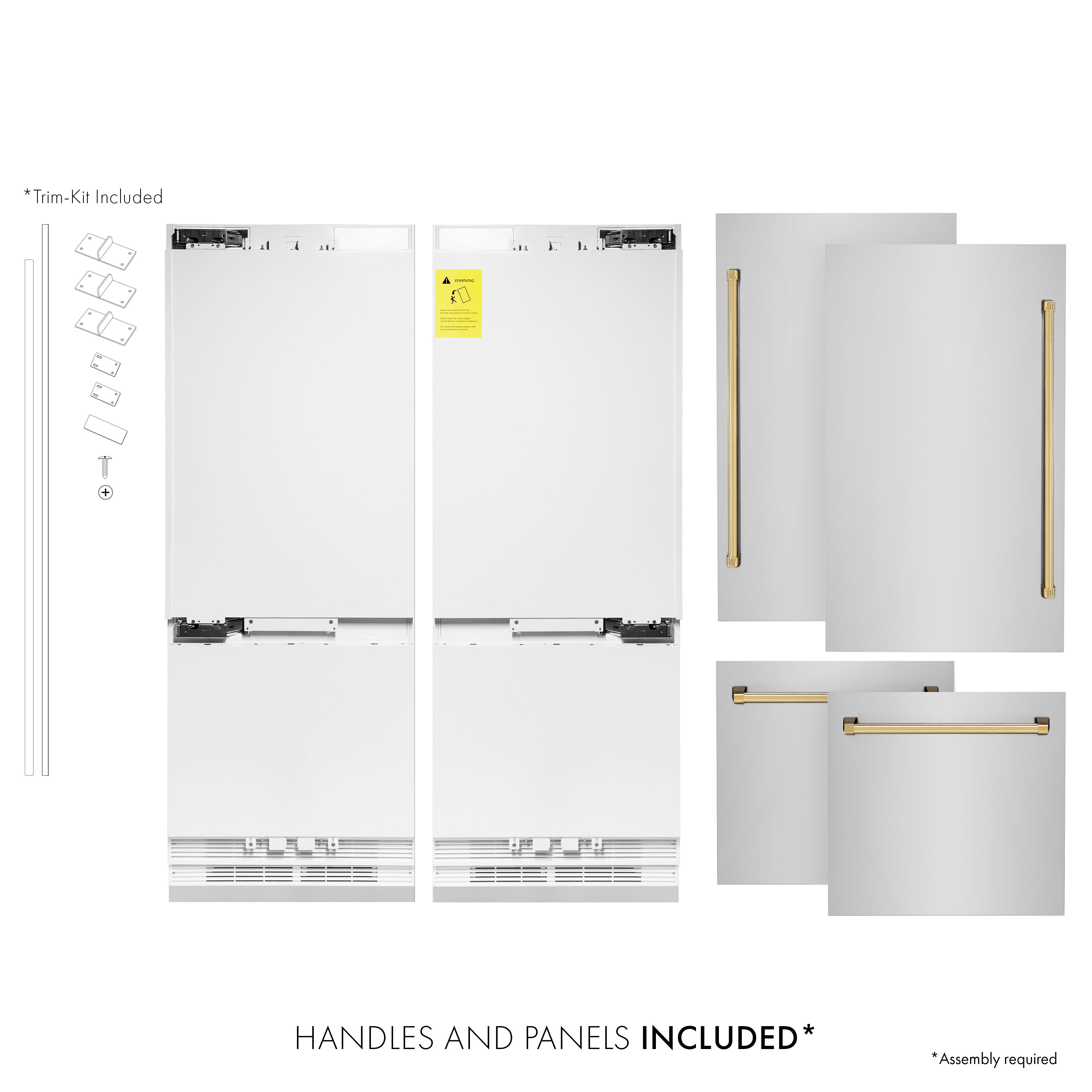 ZLINE 60" Built-In Refrigerator Internal Water & Ice Dispenser Stainless Steel Gold Accents (RBIVZ-304-60-G)