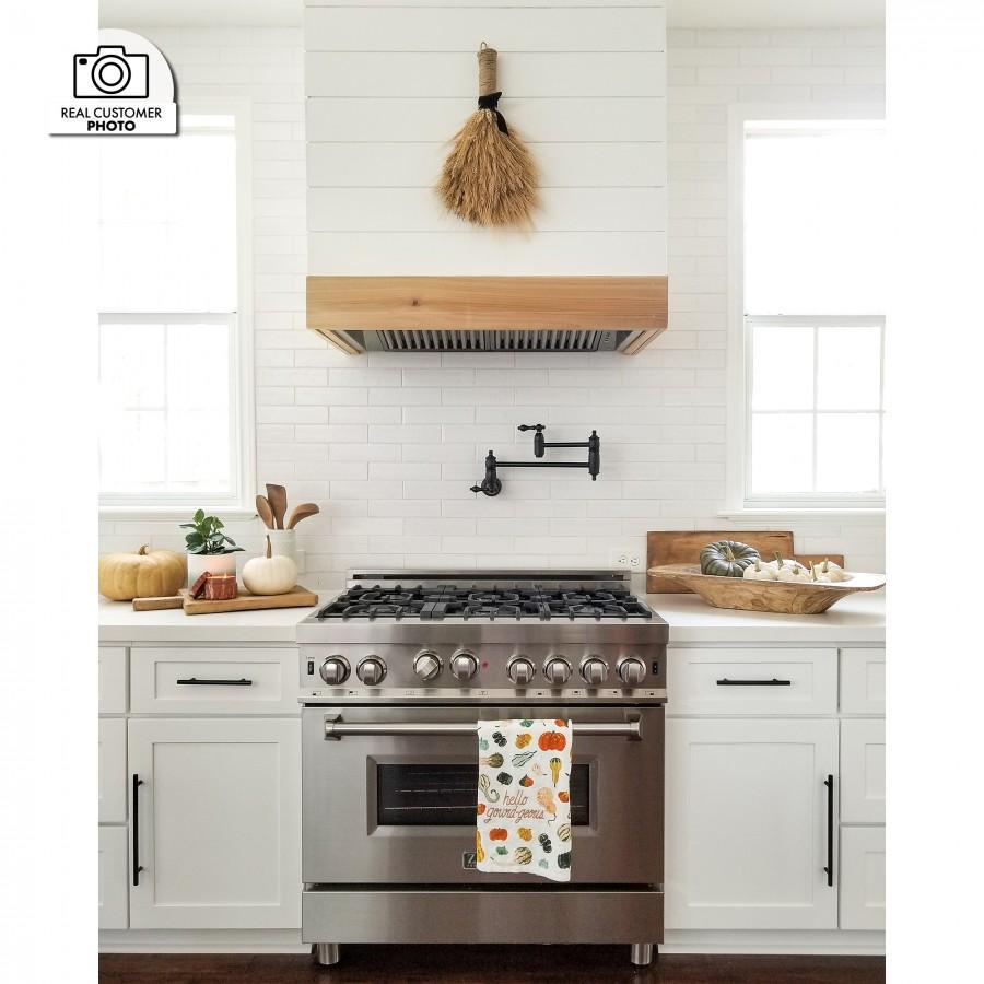 ZLINE 40 in Range Hood Insert 21 in Depth Wall Mount Stainless Steel 4-Speed 700 CFM (721-40)